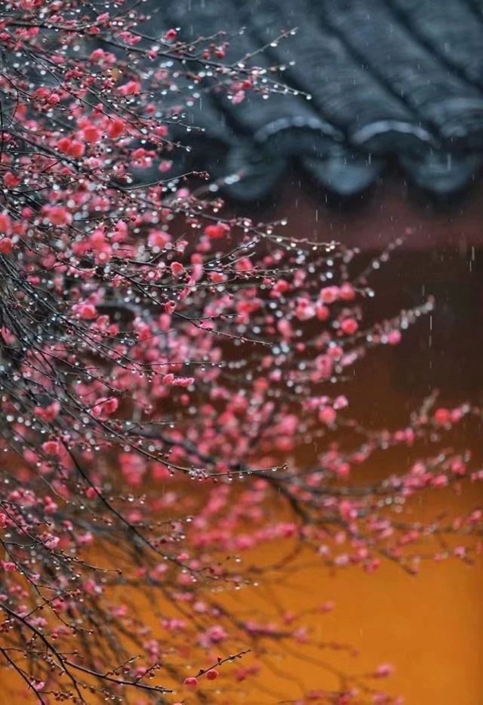 微信圖(tú)片_20200226235345